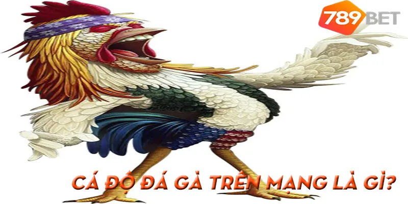 789Bet – Có Nên Chơi Cá Độ Đá Gà Trên Mạng Không?