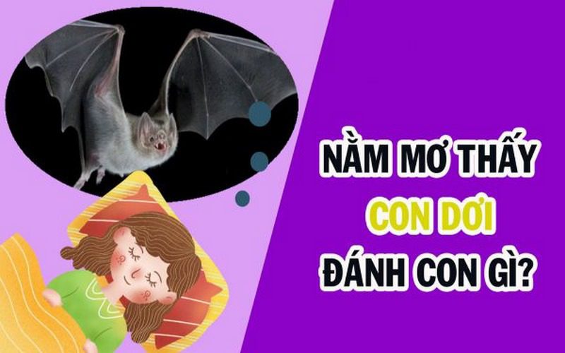 Lật tẩy những điểm báo và ý nghĩa giấc mơ thấy con dơi