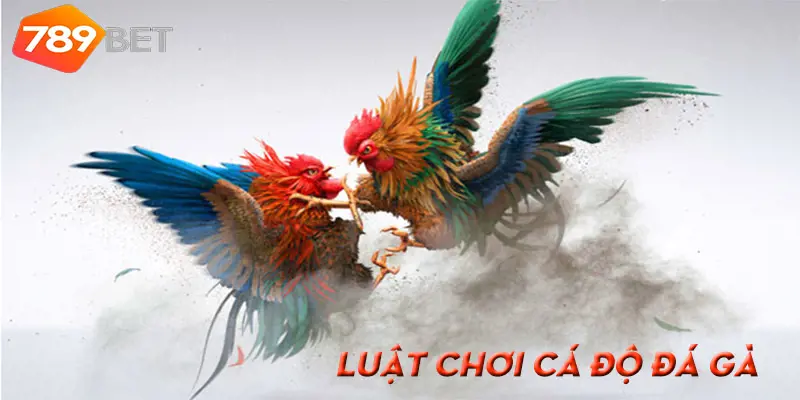 789Bet – Cá Độ Đá Gà Và Những Luật Khi Chơi Cá Độ Đá Gà